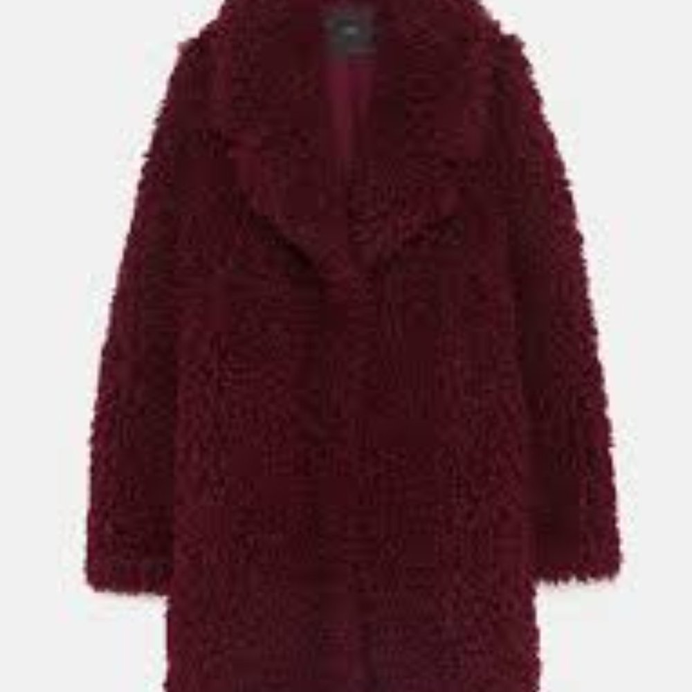 Zara Teddy (Faux Fur) Jacket